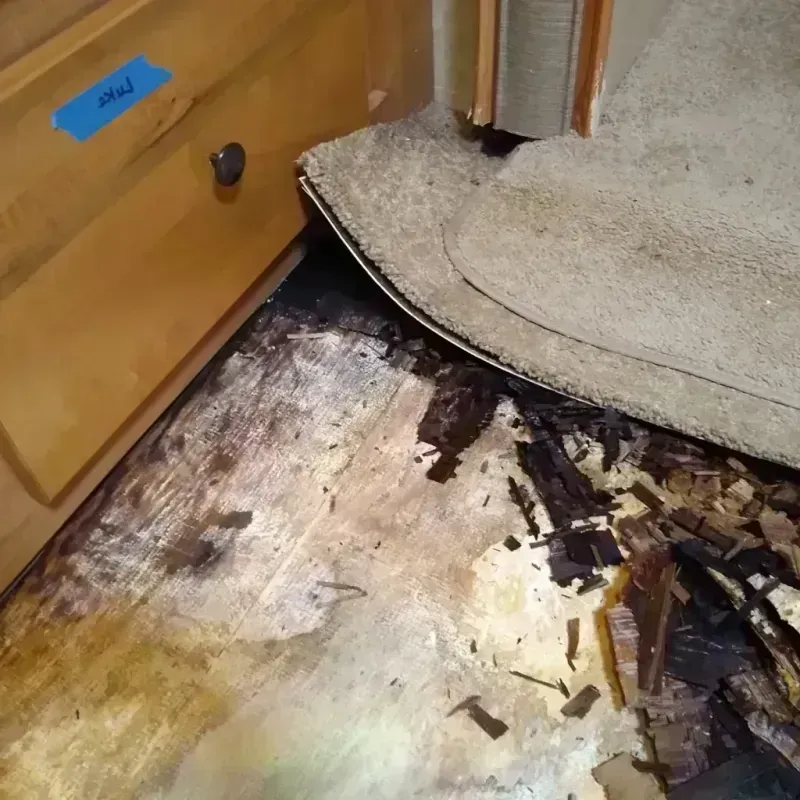 Wood Floor Water Damage in Milton, DE